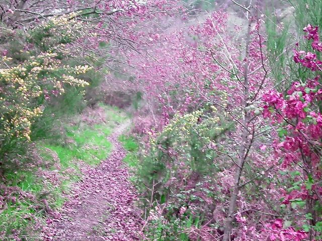 DSCN2058 DSCN2058
