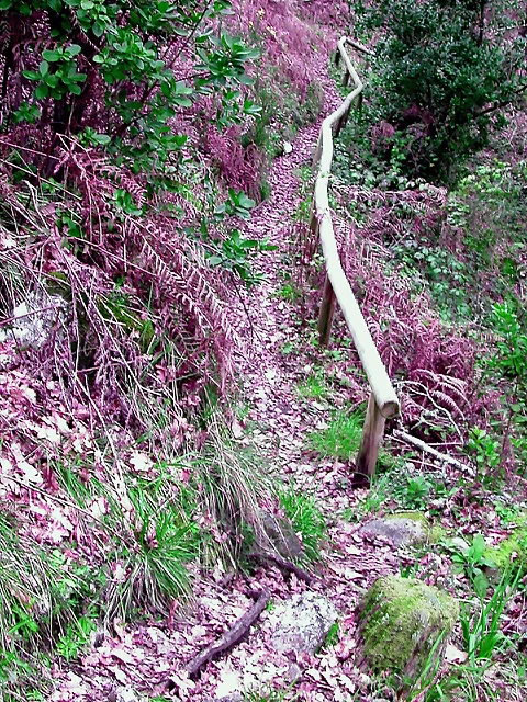 DSCN2060 DSCN2060