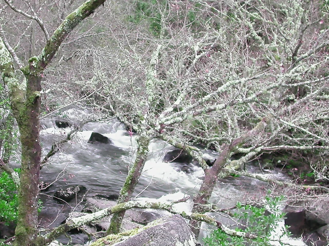 DSCN2078 DSCN2078