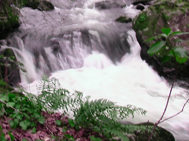 DSCN2086 DSCN2086