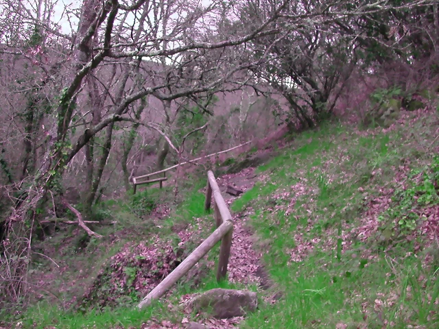 DSCN2100 DSCN2100