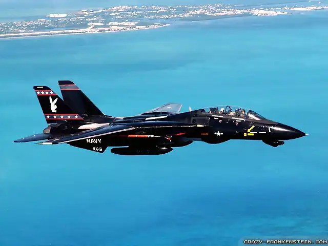 F-14 Tomcat Playboy de la Navy