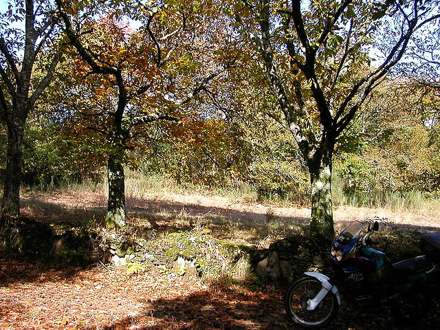 DSCN8516 DSCN8516