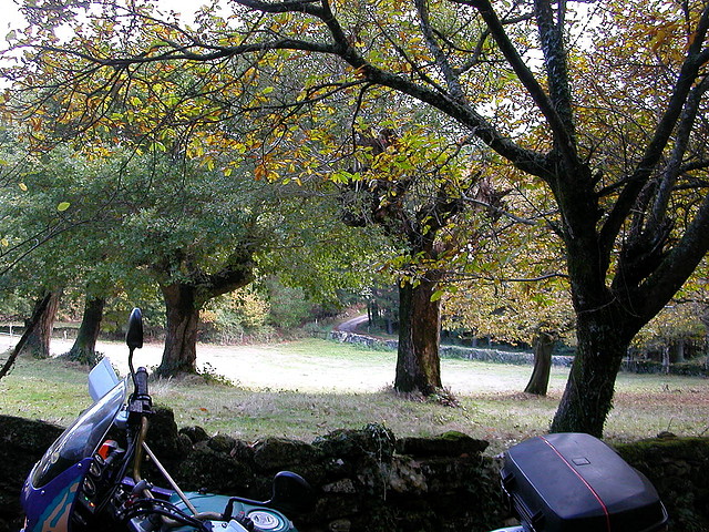 DSCN8503 DSCN8503