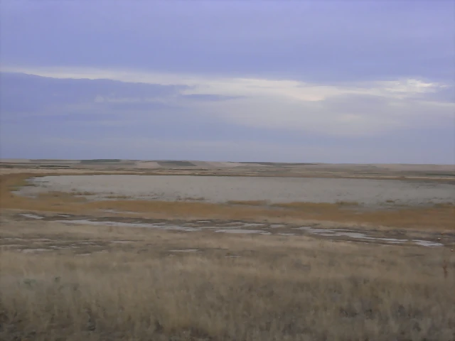 R0010775 R0010775