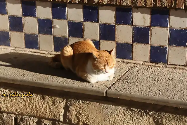 05, tomando el sol, marca