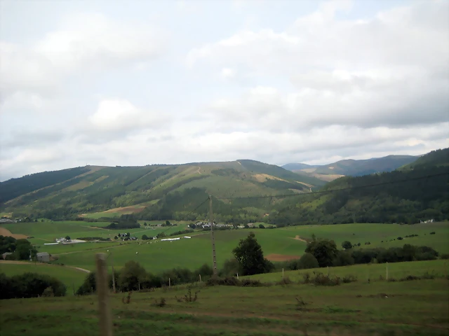 IMG_0462 IMG_0462