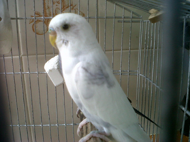 IMG00105-20100924-1549
