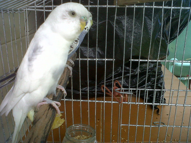 IMG00109-20100924-1552