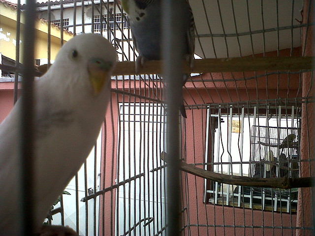 IMG00104-20100924-1548