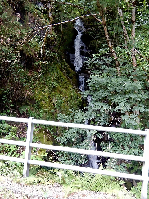 DSCN1395 DSCN1395