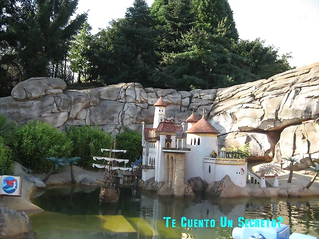 IMG_2722 IMG_2722