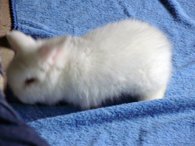 Con 2 mesecitos casi 3 :) Con 2 mesecitos casi 3 :)