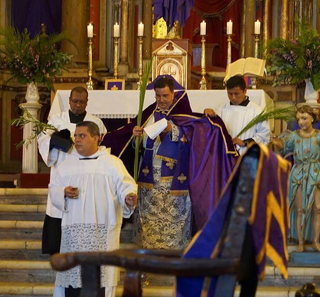 manipulo domingo de ramos