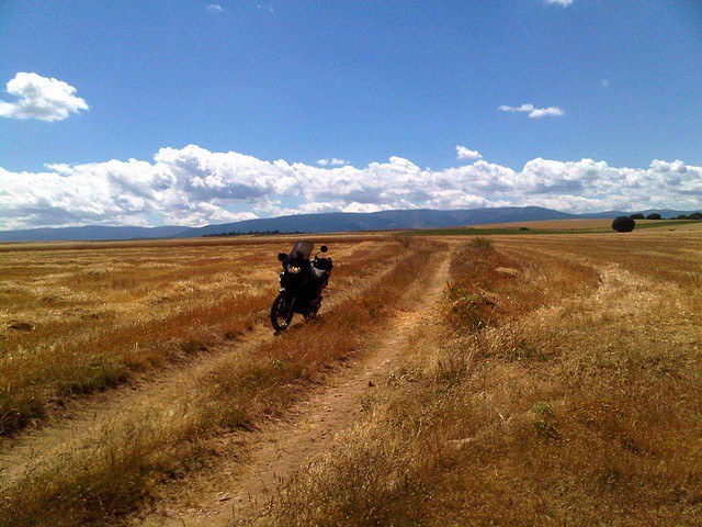 La_dureza_del_campo_en_verano