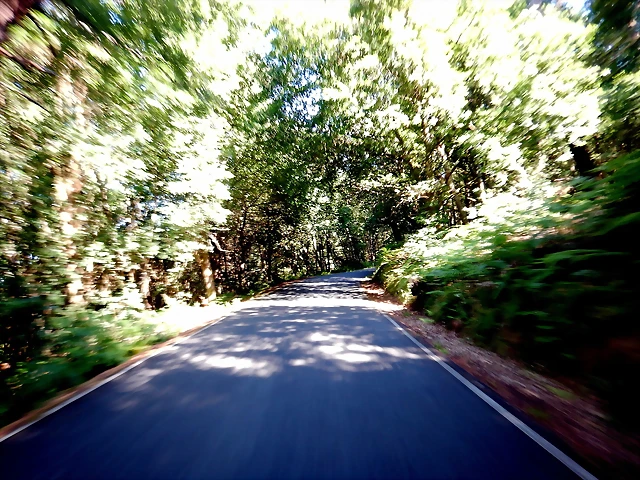 DSCN6718