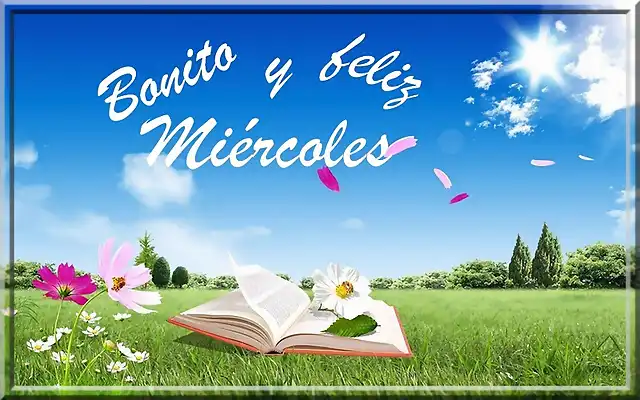 miercoles