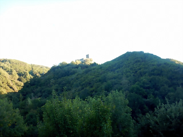 DSCN0683 DSCN0683