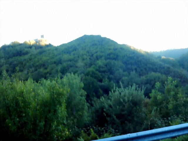 DSCN0684 DSCN0684