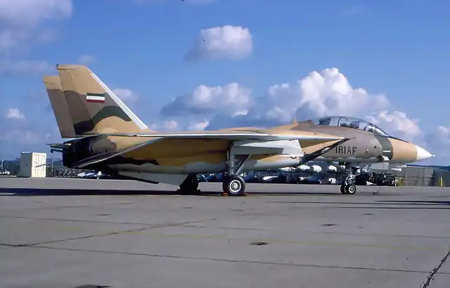 F-14A 159607 IRIAF marks 12-1992