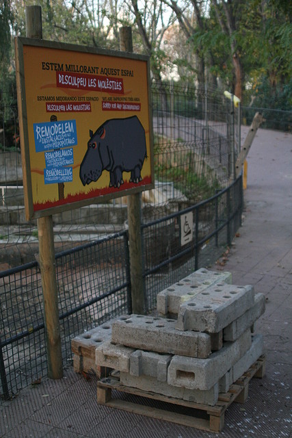 Zoo de Barcelona 24-11-10 532 Zoo de Barcelona 24-11-10 532