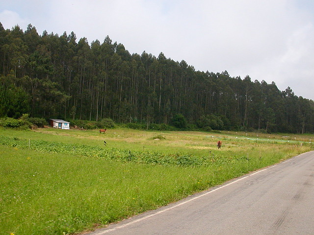 DSCN1422 DSCN1422
