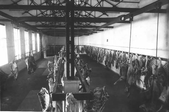 Matadero central Matadero central