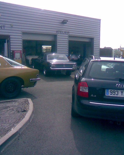 Mustang5 Mustang5