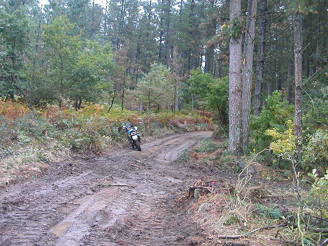 DSCN8460 DSCN8460
