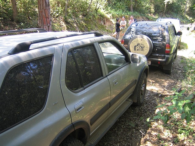 IMG_0113 IMG_0113