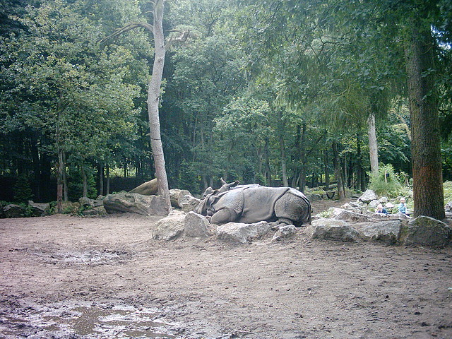 PIC03334 PIC03334