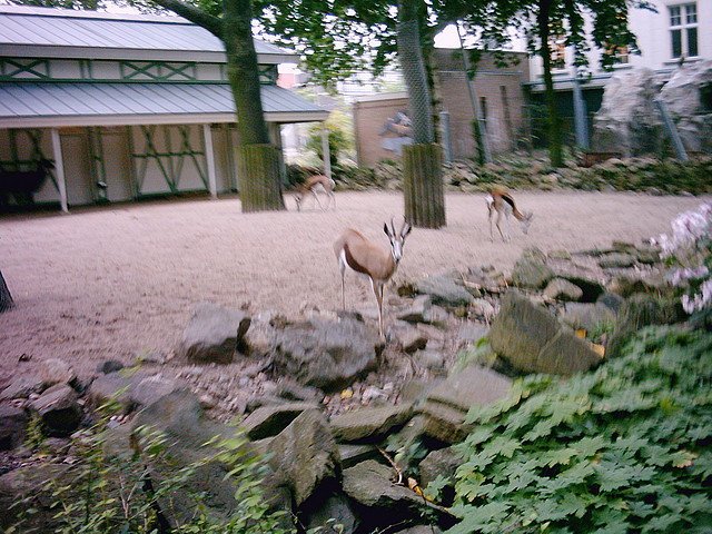PIC03287 PIC03287