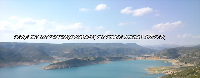firma firma