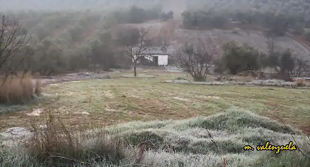 02, cortijo de Jeromo, marca, vale