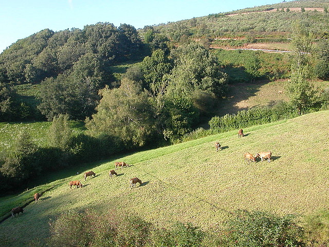 Via XIX 092 Via XIX 092