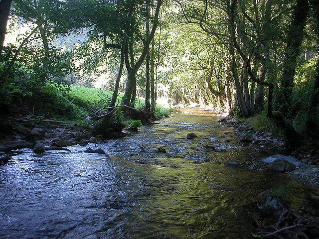 Via XIX 071