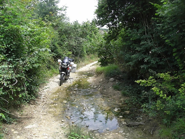 R0013959 R0013959