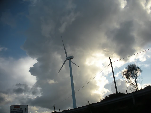DSCN8503