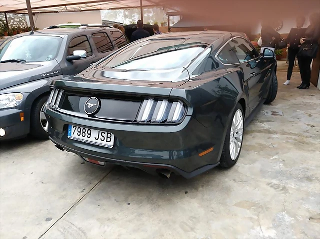 Mustang 3