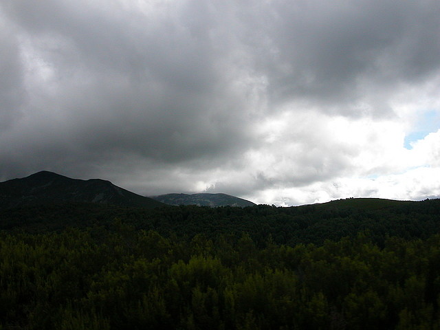 DSCN3289 DSCN3289