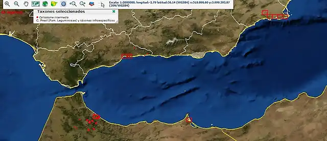 Screenshot_2019-04-01 Anthos Sistema de informaci?n sobre las plantas de Espa?a JPG