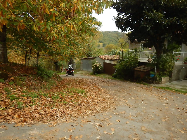 DSCN9907 DSCN9907