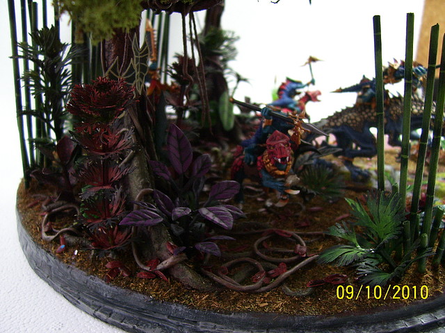 100_5967 100_5967