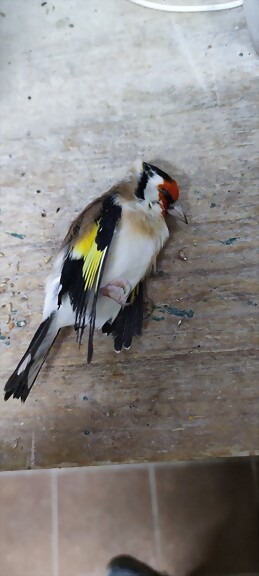 IMG_20230124_183058