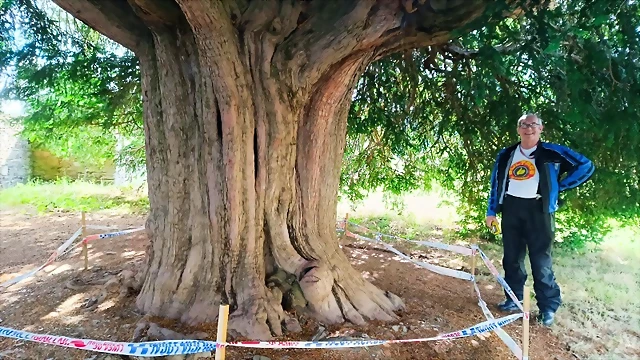 1000052683 1000052683