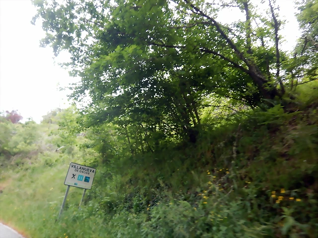 DSCN3370 DSCN3370