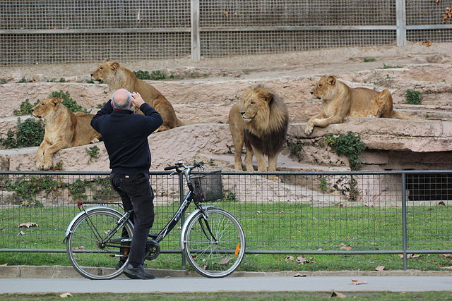 Zoo de Barcelona 31-01-12 366 Zoo de Barcelona 31-01-12 366