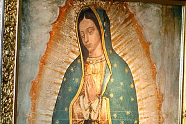 Fiesta Guadalupana 4 Fiesta Guadalupana 4