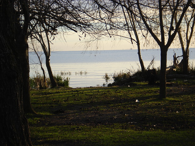 dia de la bandera y rio de la plata 031