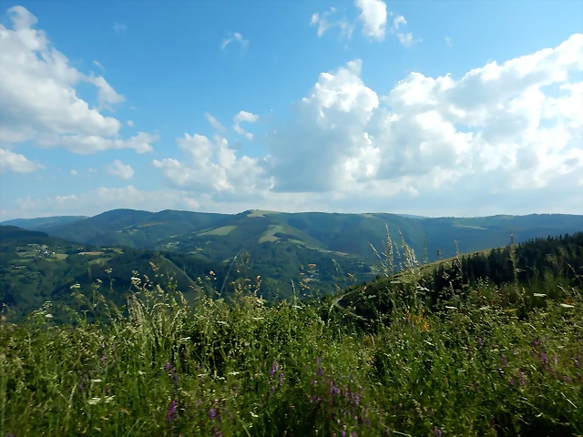 DSCN2372 DSCN2372